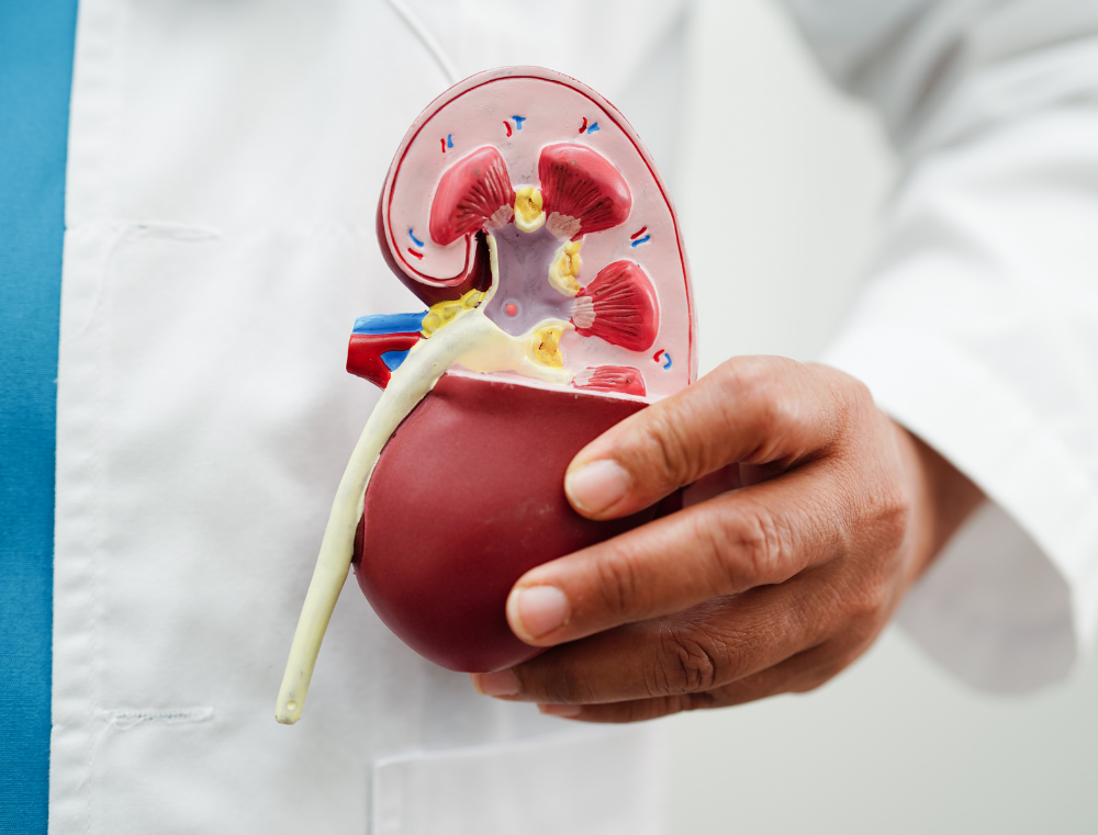 Prostat Kanseri Belirtileri Nelerdir? Hangi Durumlarda Doktora Başvurmalı?